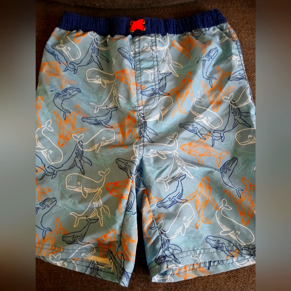 Boy's Shark Swim Trunks